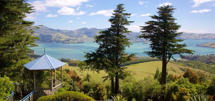 Dunedin