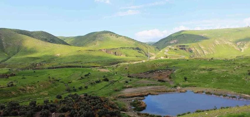 Irbid