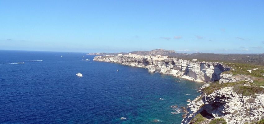 Figari