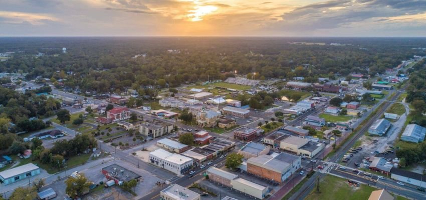 Live Oak