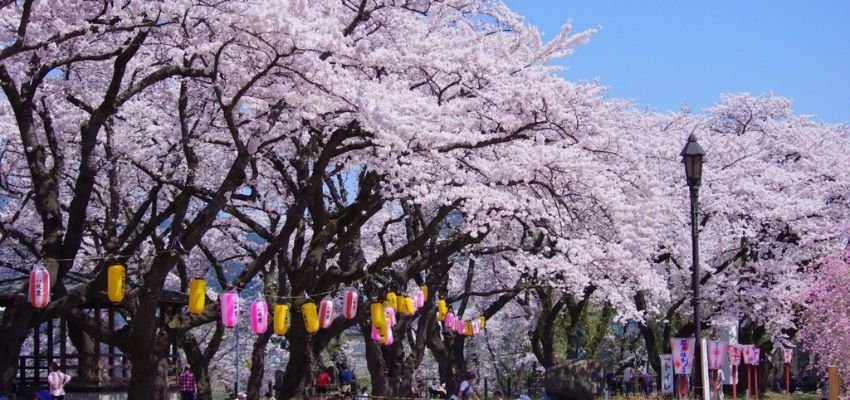 Odate