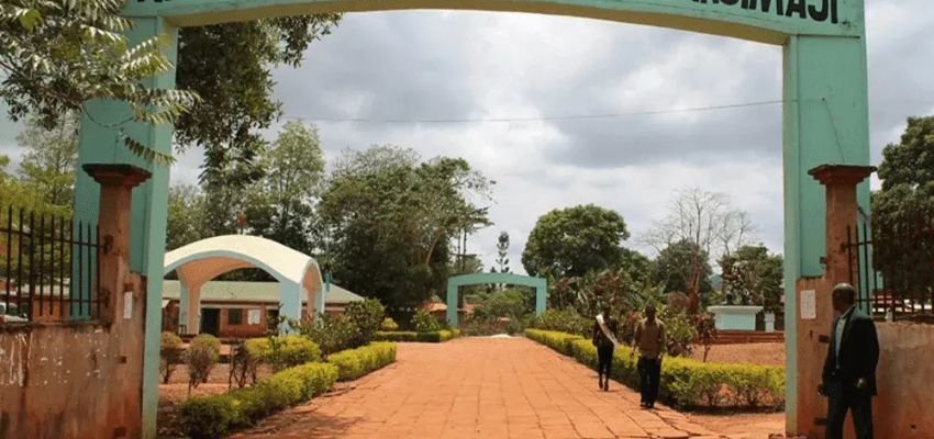 Songea